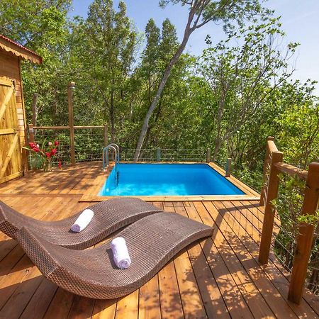 Au Jardin Des Colibris Ecolodge&Spa Deshaies Bagian luar foto