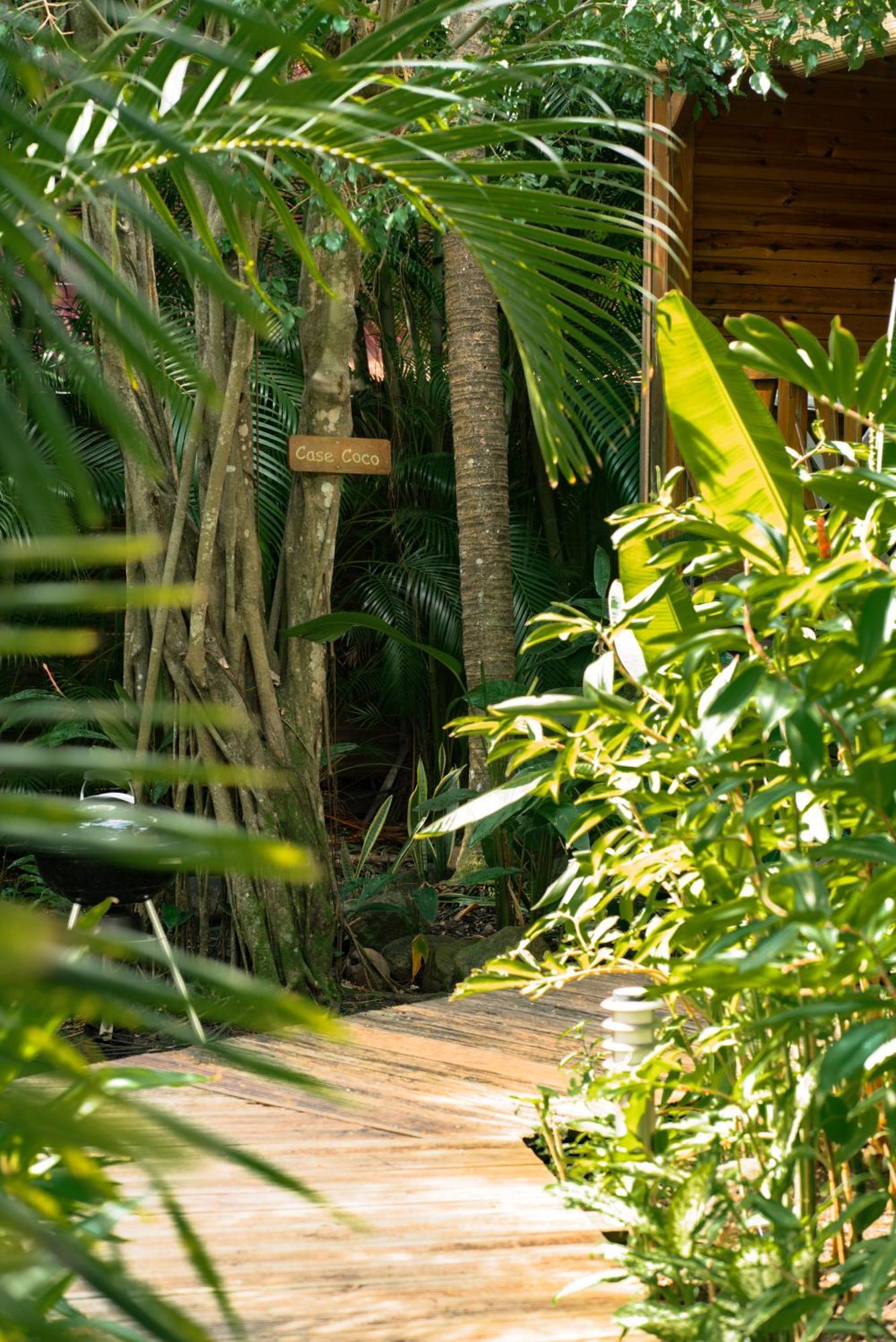 Au Jardin Des Colibris Ecolodge&Spa Deshaies Bagian luar foto