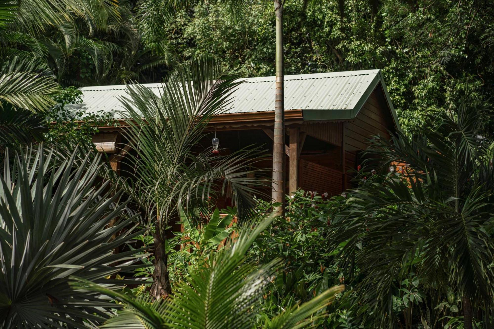 Au Jardin Des Colibris Ecolodge&Spa Deshaies Bagian luar foto