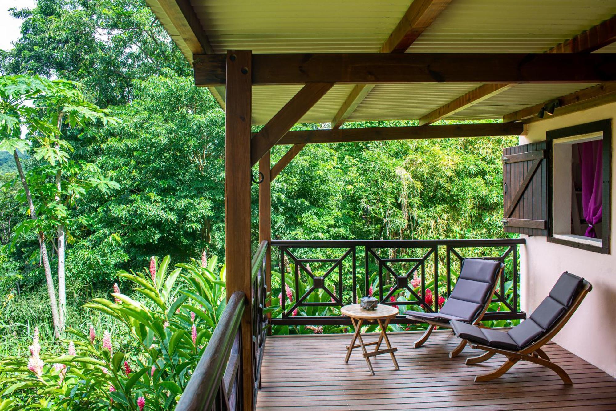 Au Jardin Des Colibris Ecolodge&Spa Deshaies Bagian luar foto