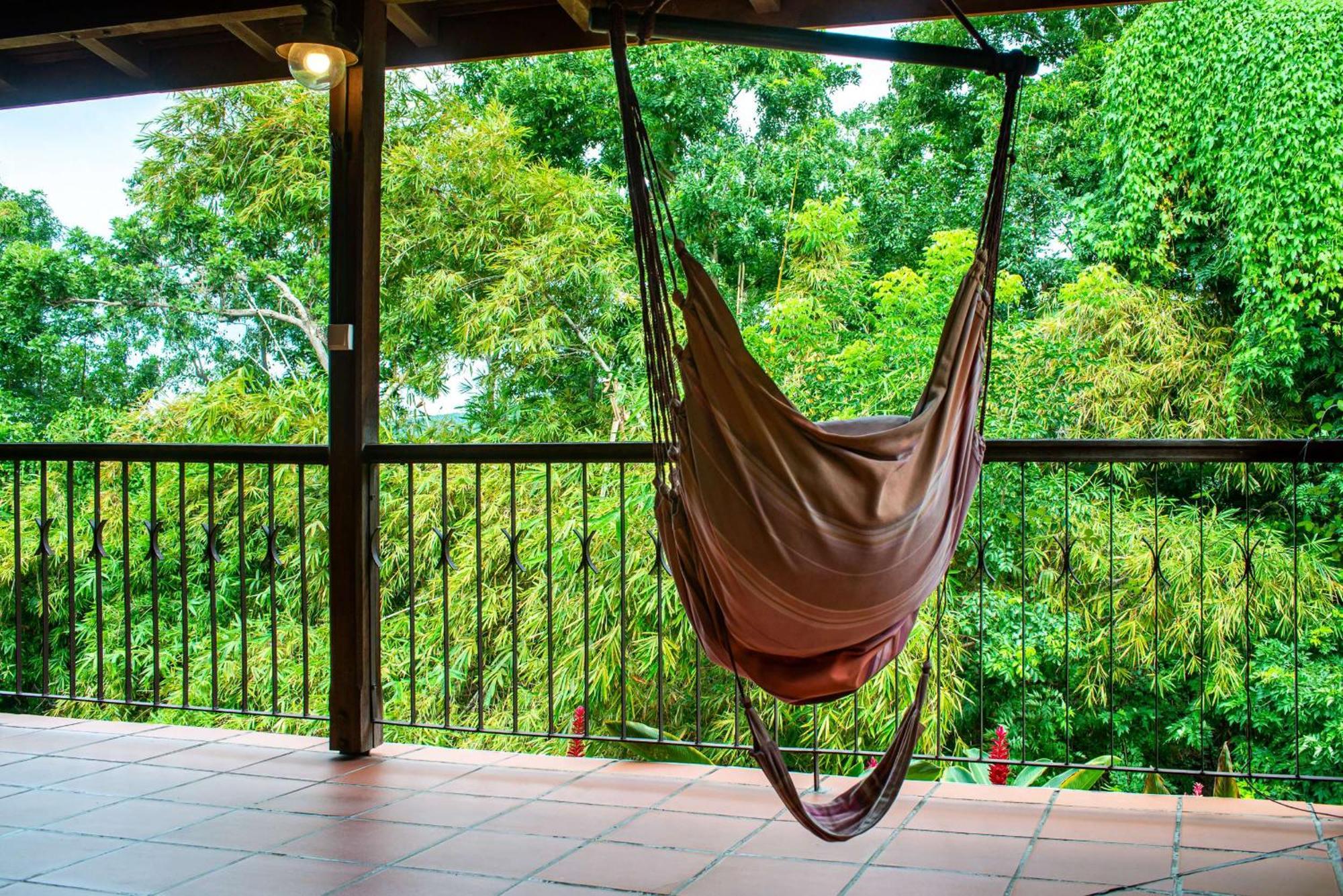 Au Jardin Des Colibris Ecolodge&Spa Deshaies Bagian luar foto