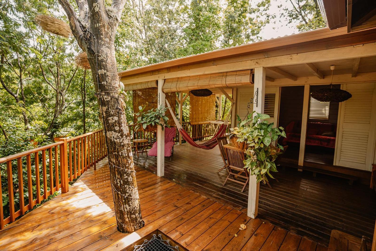 Au Jardin Des Colibris Ecolodge&Spa Deshaies Bagian luar foto