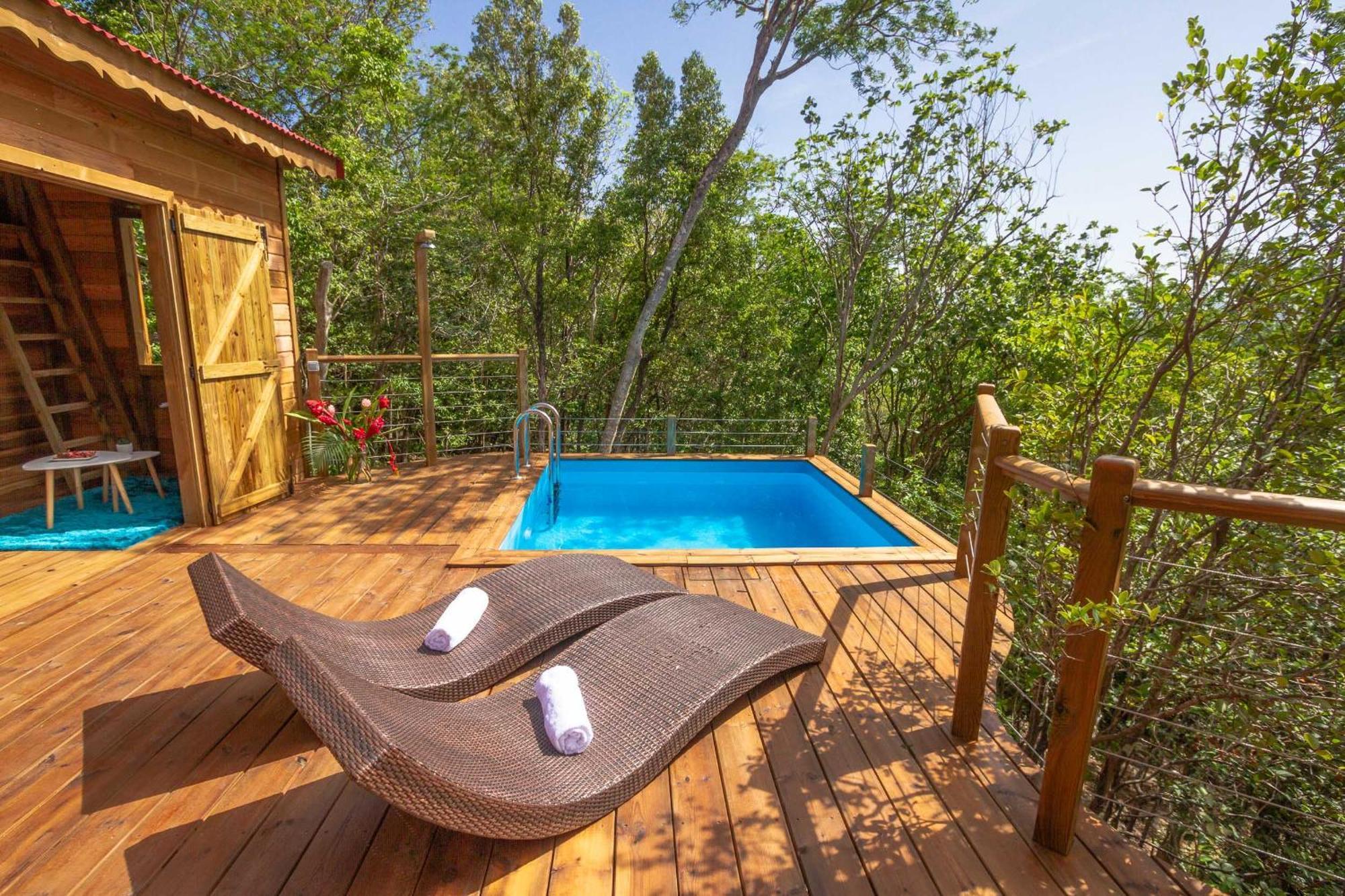 Au Jardin Des Colibris Ecolodge&Spa Deshaies Bagian luar foto