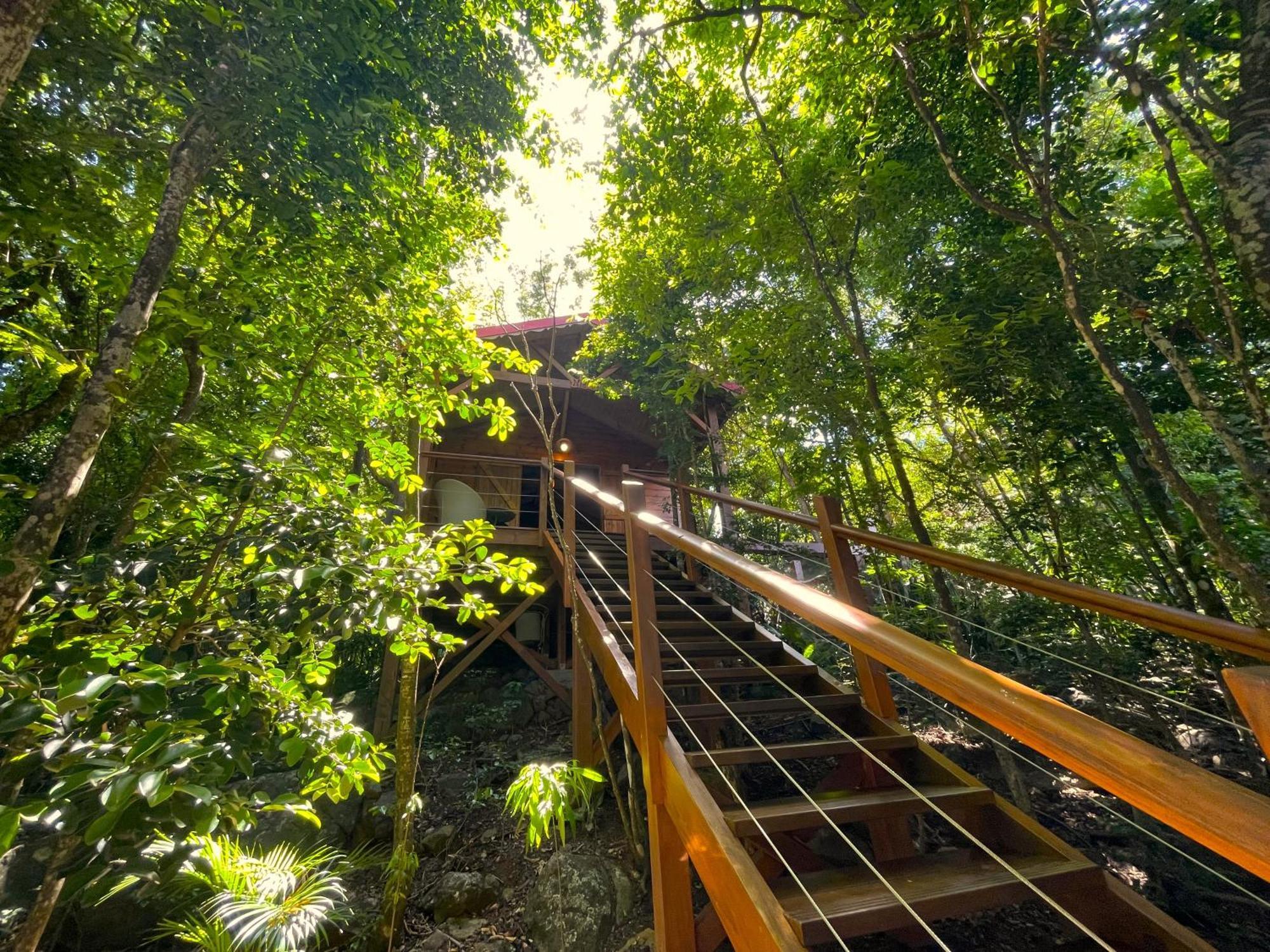 Au Jardin Des Colibris Ecolodge&Spa Deshaies Bagian luar foto