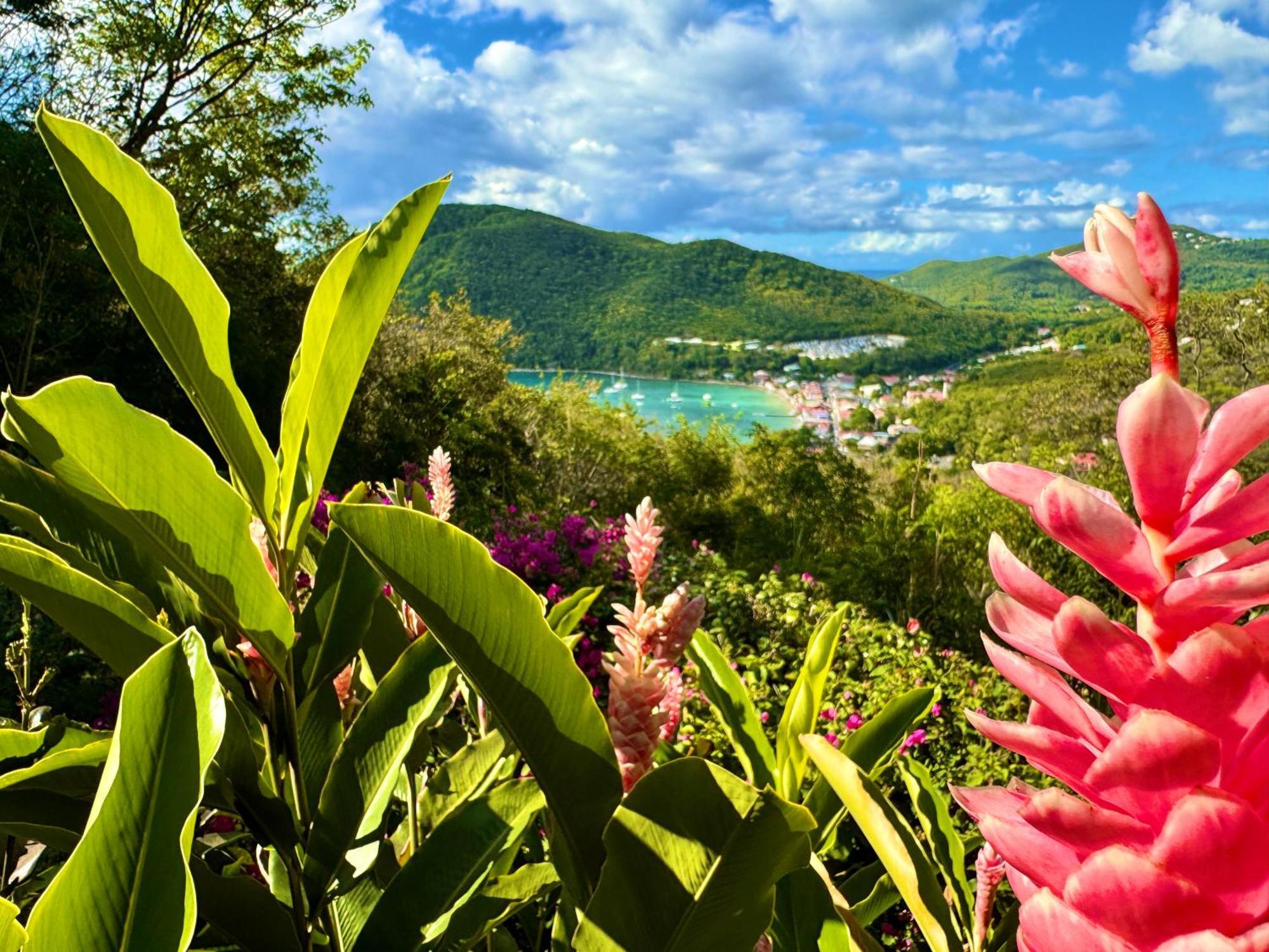 Au Jardin Des Colibris Ecolodge&Spa Deshaies Bagian luar foto